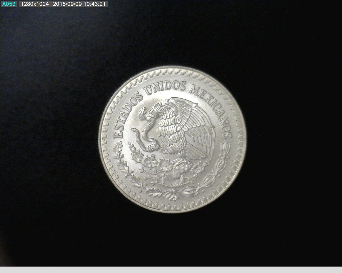 1-2-onza-libertad-plata-2013 - anverso (Banxico)
