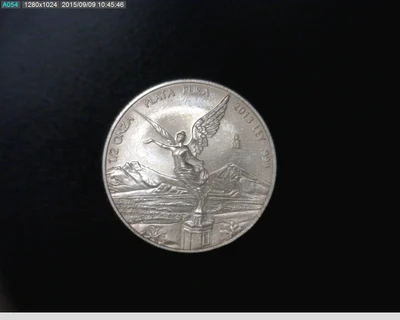 1/2 onza Libertad Plata 2013