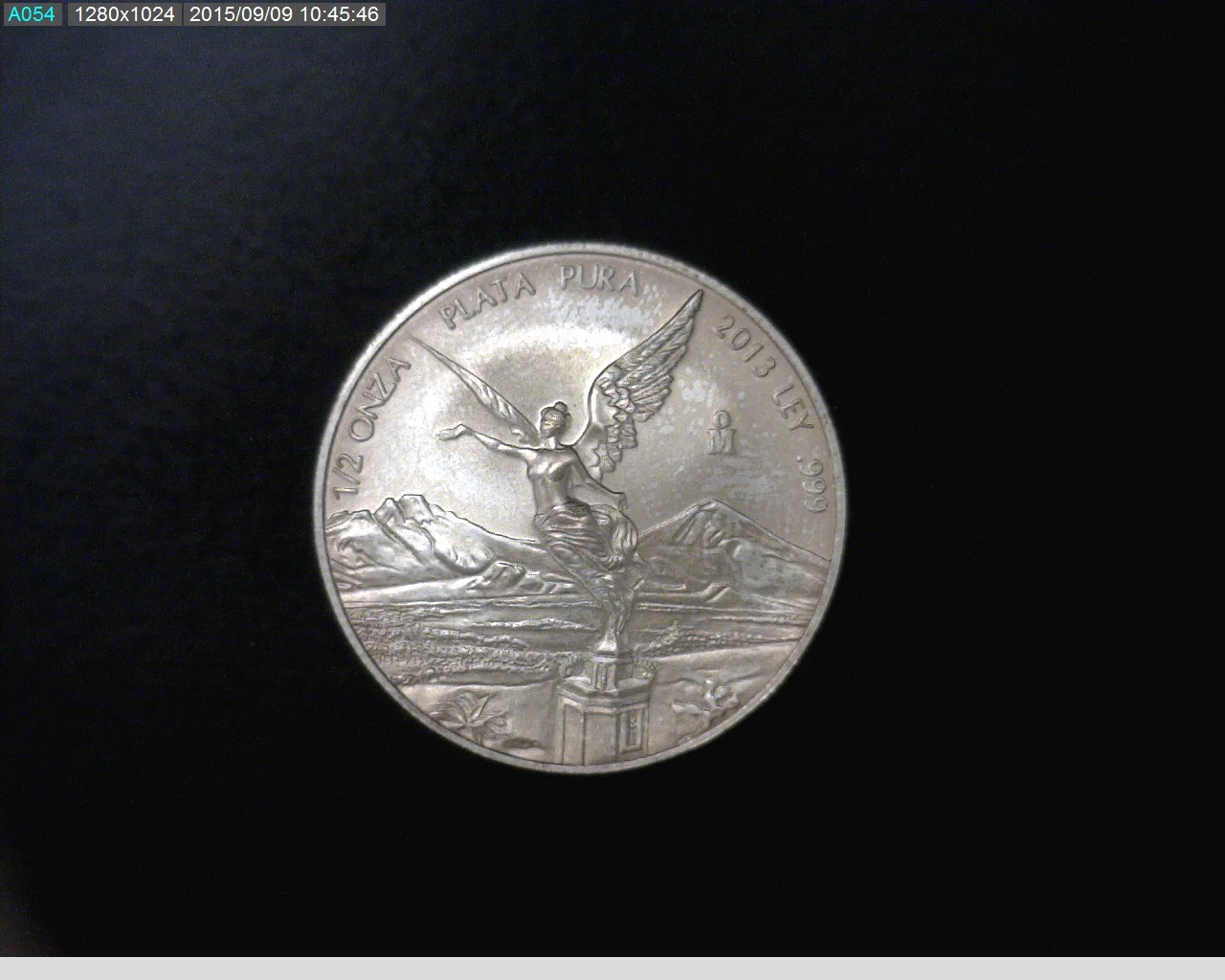 1/2 oz Libertad Plata 2013 · Inventario Banxico 22999 (reverso)