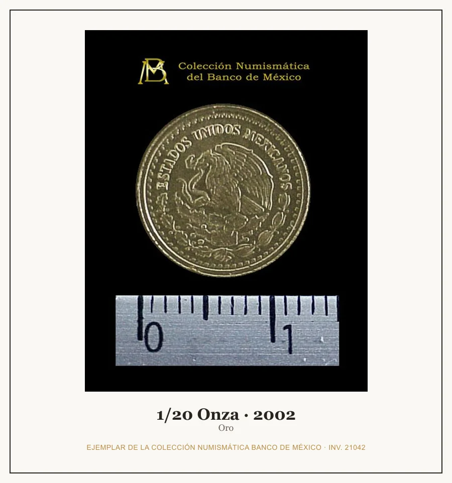 Moneda destacada de la serie 1/20 Onza Oro
