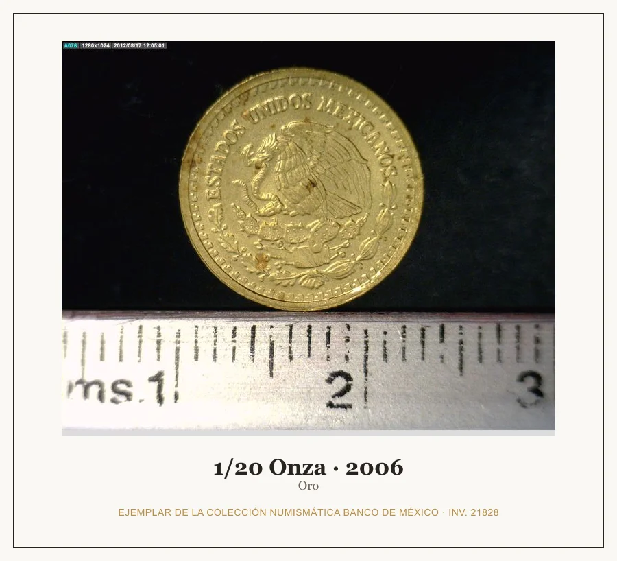 1/20 Onza · 2006 — Ejemplar de la Colección Numismática Banco de México, inv. 21828