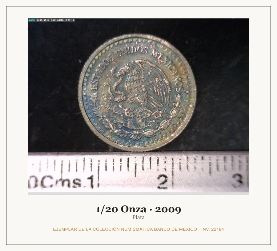 1/20 Onza · 2009 — Ejemplar de la Colección Numismática Banco de México, inv. 22184