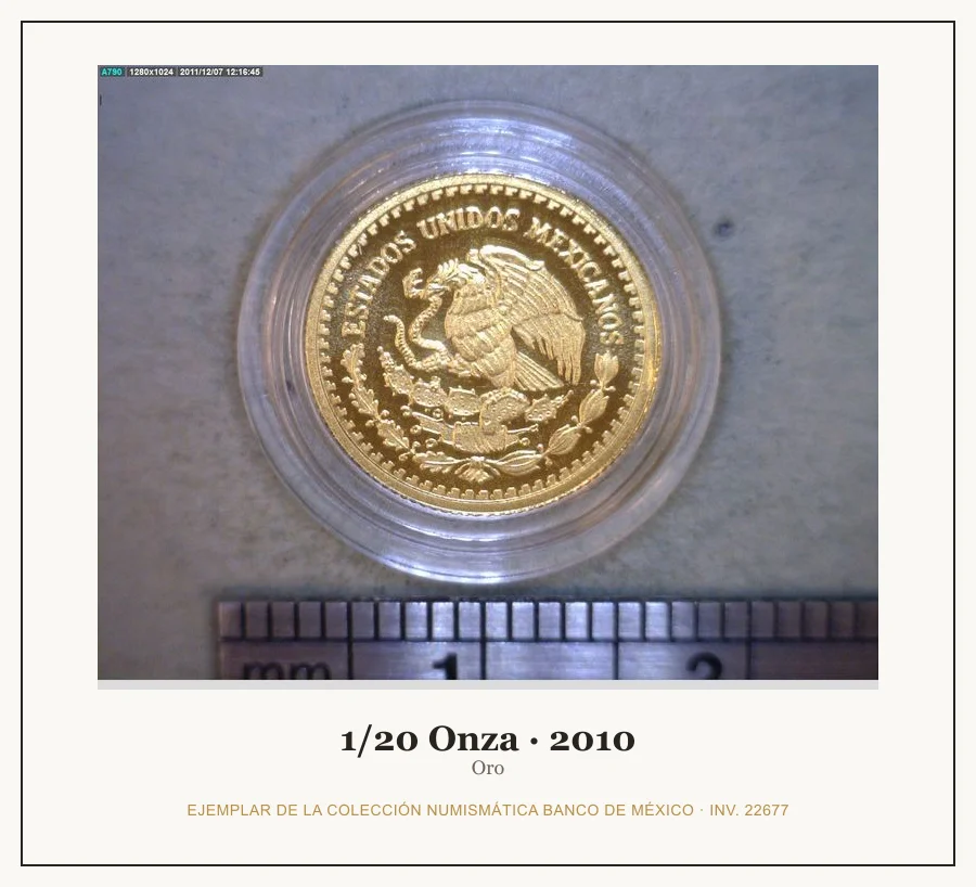 1/20 Onza · 2010 — Ejemplar de la Colección Numismática Banco de México, inv. 22677