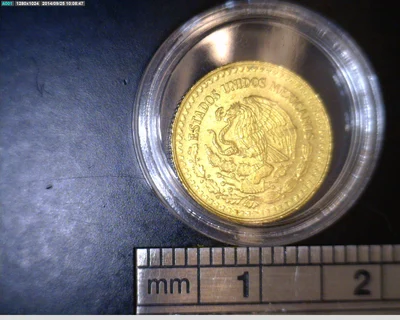 1/20 oz Libertad Oro 1991 · Inventario Banxico 17515 (anverso)