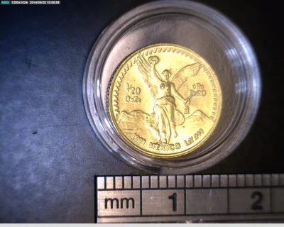 1/20 oz Libertad Oro 1991 · Inventario Banxico 17515 (reverso)
