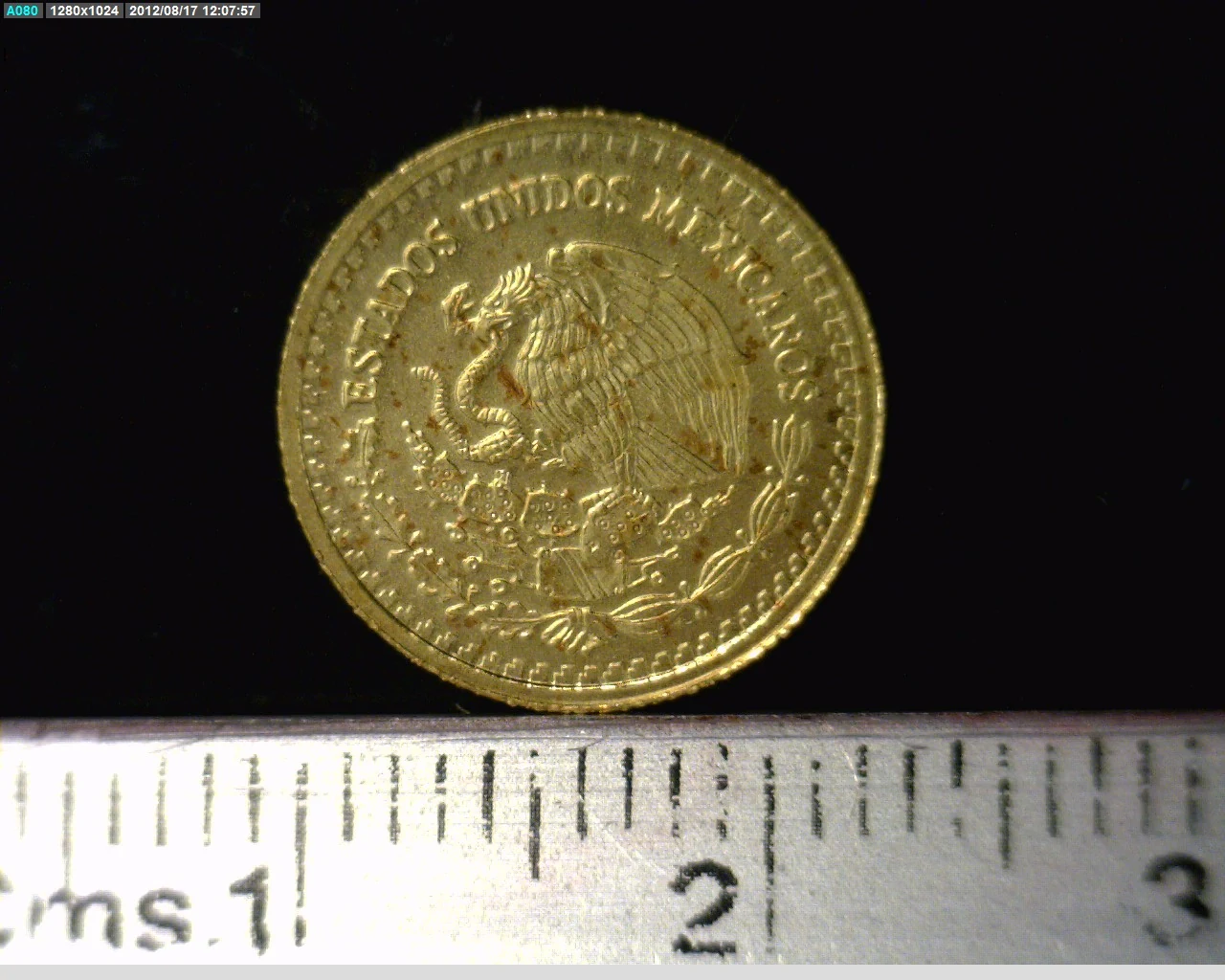 1/20 Onza Libertad Oro 2007 · Anverso
