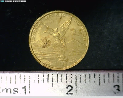 1/20 Onza Libertad Oro 2007 · Reverso