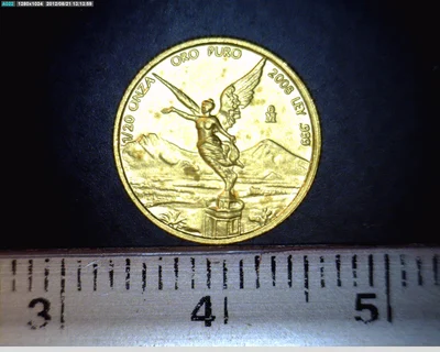 1/20 Onza Libertad Oro 2008