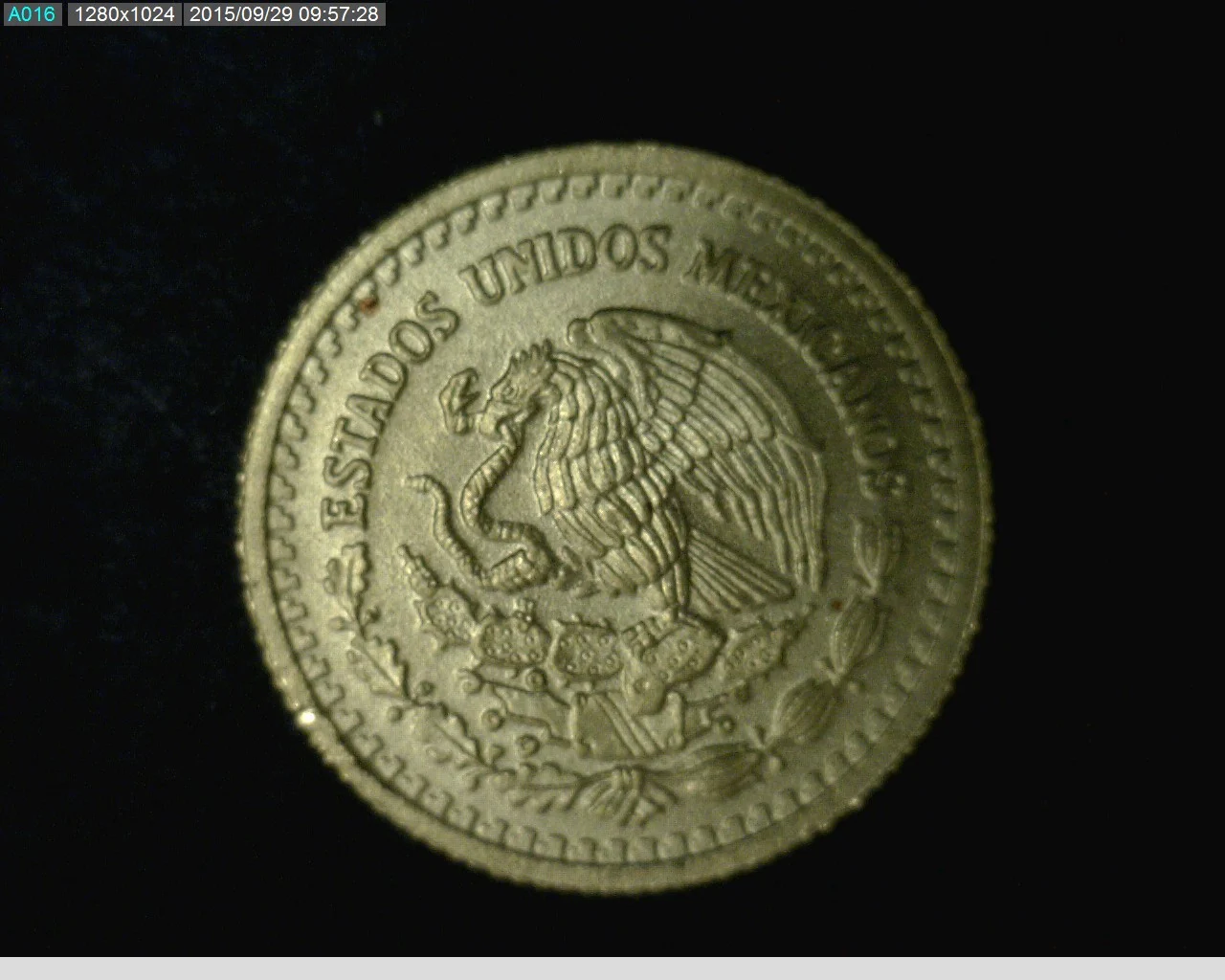 1/20 oz Libertad Oro 2013 · Inventario Banxico 23298 (anverso)