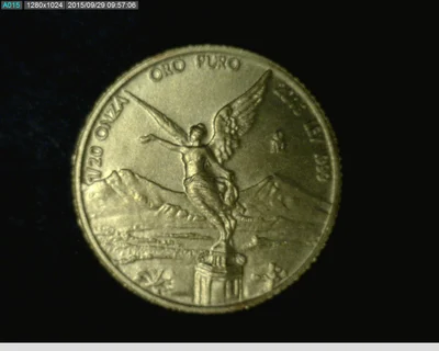1/20 onza Libertad Oro 2013