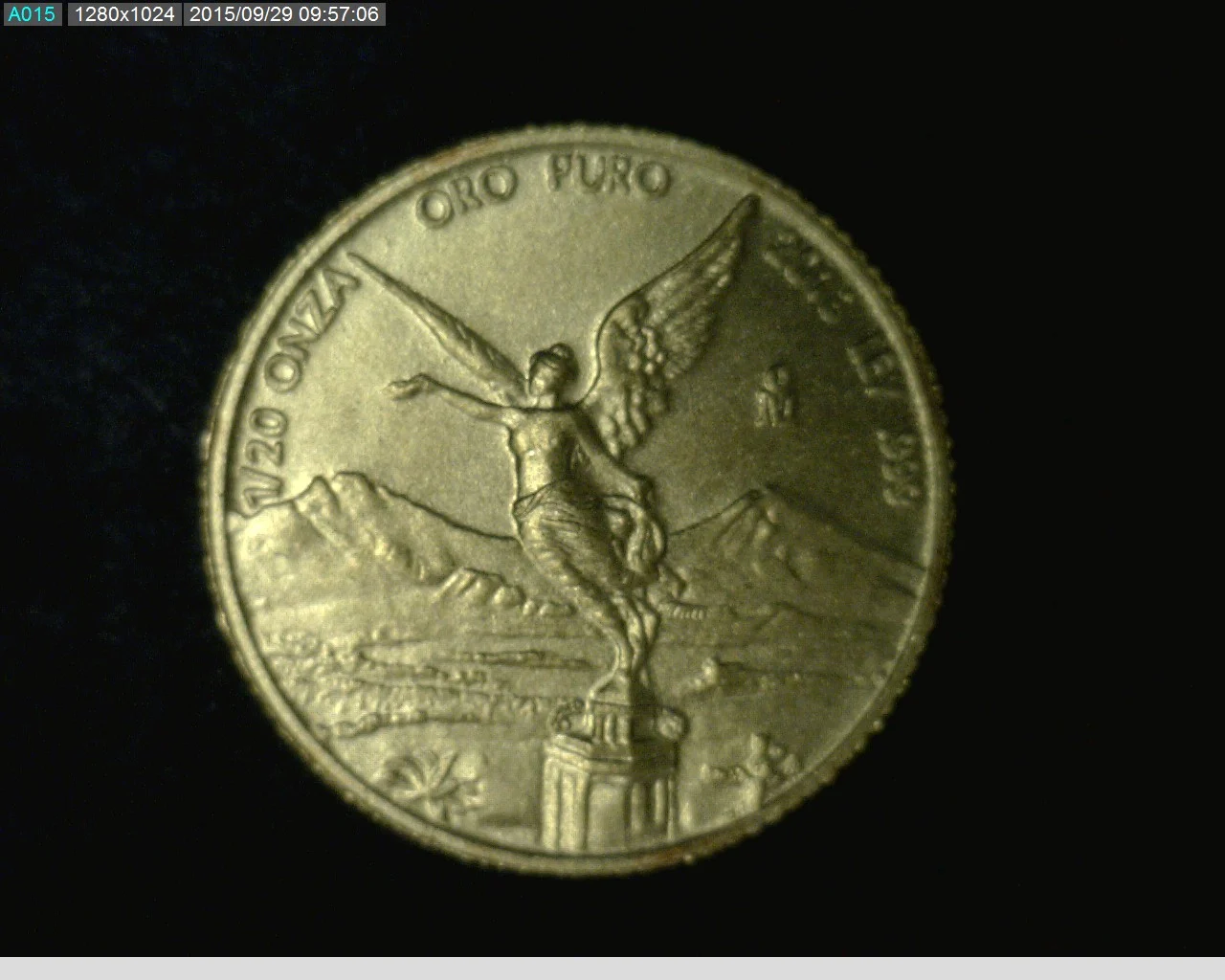 1/20 oz Libertad Oro 2013 · Inventario Banxico 23298 (reverso)