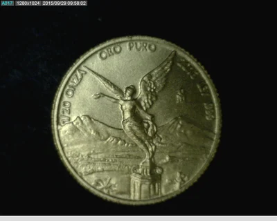 1/20 oz Libertad Oro 2013 · Inventario Banxico 23299 (reverso)