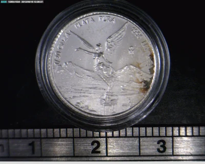 1/20 oz Libertad Plata 1996 · Inventario Banxico 19219 (reverso)