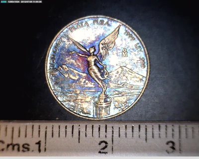 1/20 Onza Libertad Plata 1999 · Reverso