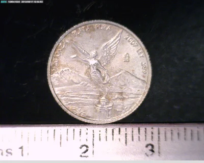 1/20 Onza Libertad Plata 2007