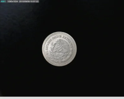 1-20-onza-libertad-plata-2013 - anverso (Banxico)