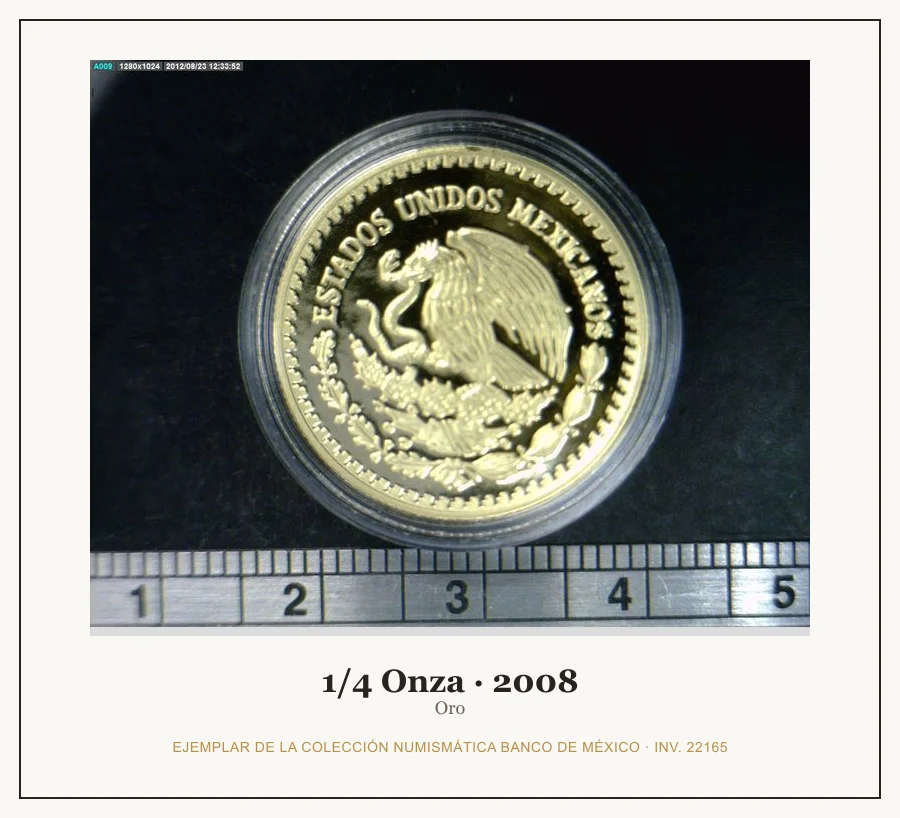 1/4 Onza · 2008 — Ejemplar de la Colección Numismática Banco de México, inv. 22165