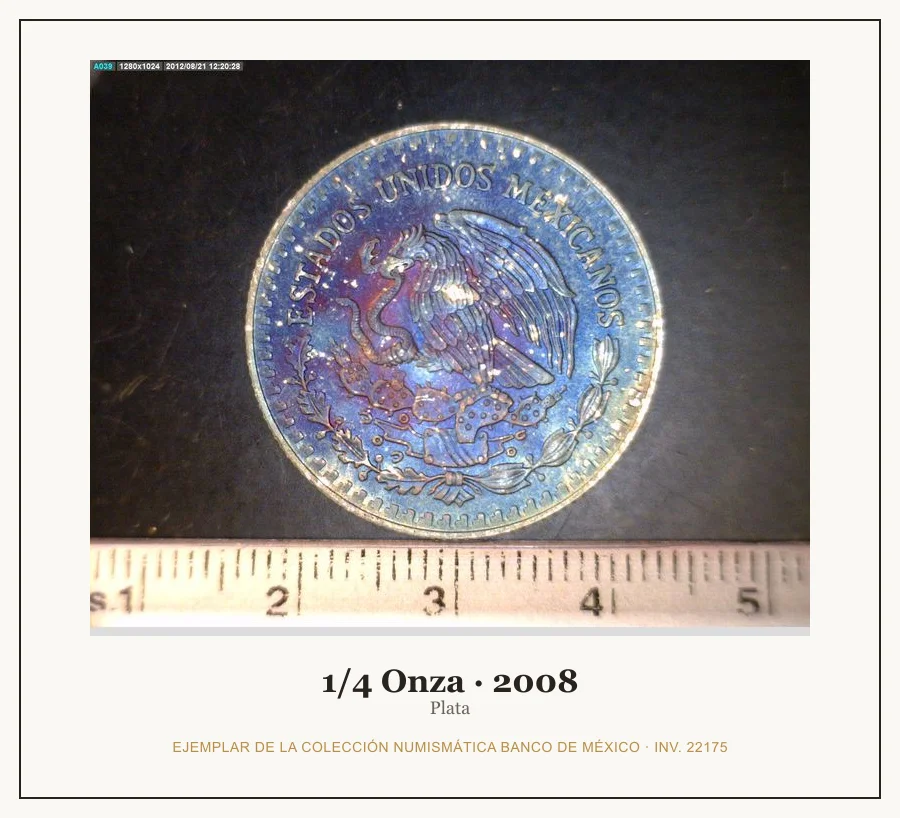 1/4 Onza · 2008 — Ejemplar de la Colección Numismática Banco de México, inv. 22175