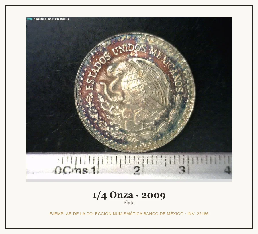 1/4 Onza · 2009 — Ejemplar de la Colección Numismática Banco de México, inv. 22186
