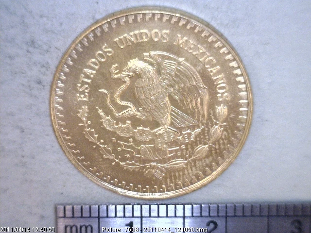 1/4 oz Libertad Oro 1981 · Inventario Banxico 15874 (anverso)