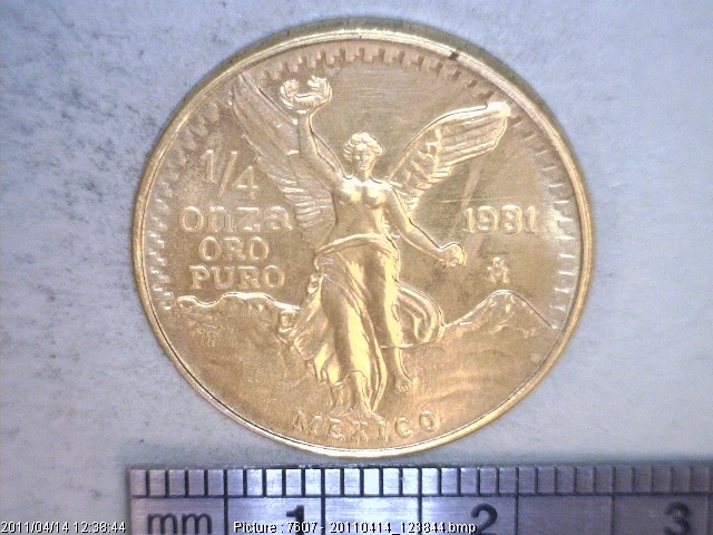 1/4 oz Libertad Oro 1981 · Inventario Banxico 15873 (reverso)