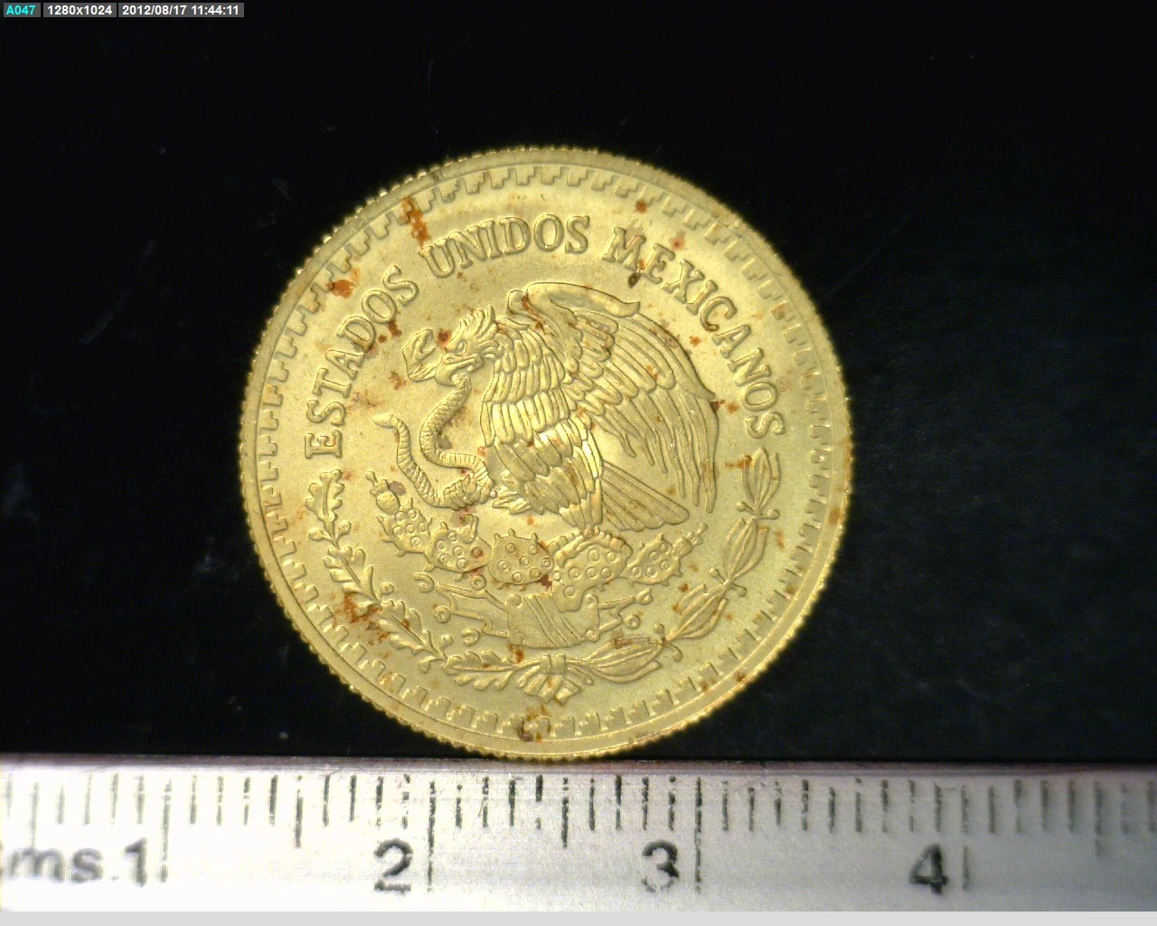 1/4 Onza Libertad Oro 2006 · Anverso