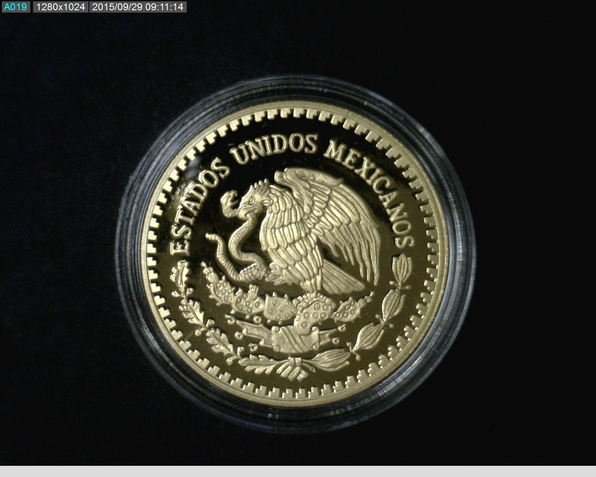 1-4-onza-libertad-oro-2013-proof - anverso (Banxico)