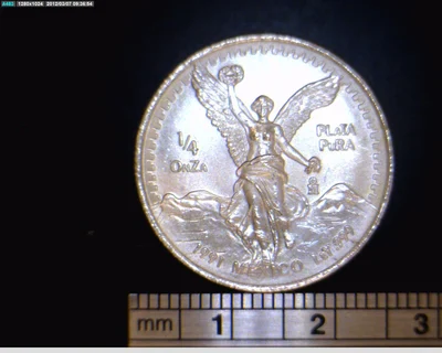 1/4 oz Libertad Plata 1991 · Inventario Banxico 17683 (reverso)