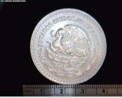 1/10 oz Libertad Plata 1995 · Inventario Banxico 19170 (anverso)