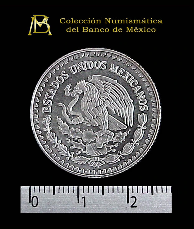 1-4-onza-libertad-plata-1999 - anverso (Banxico)