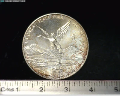 1/4 Onza Libertad Plata 2007 · Reverso
