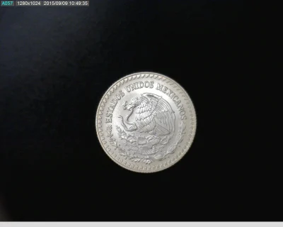 1-4-onza-libertad-plata-2013 - anverso (Banxico)