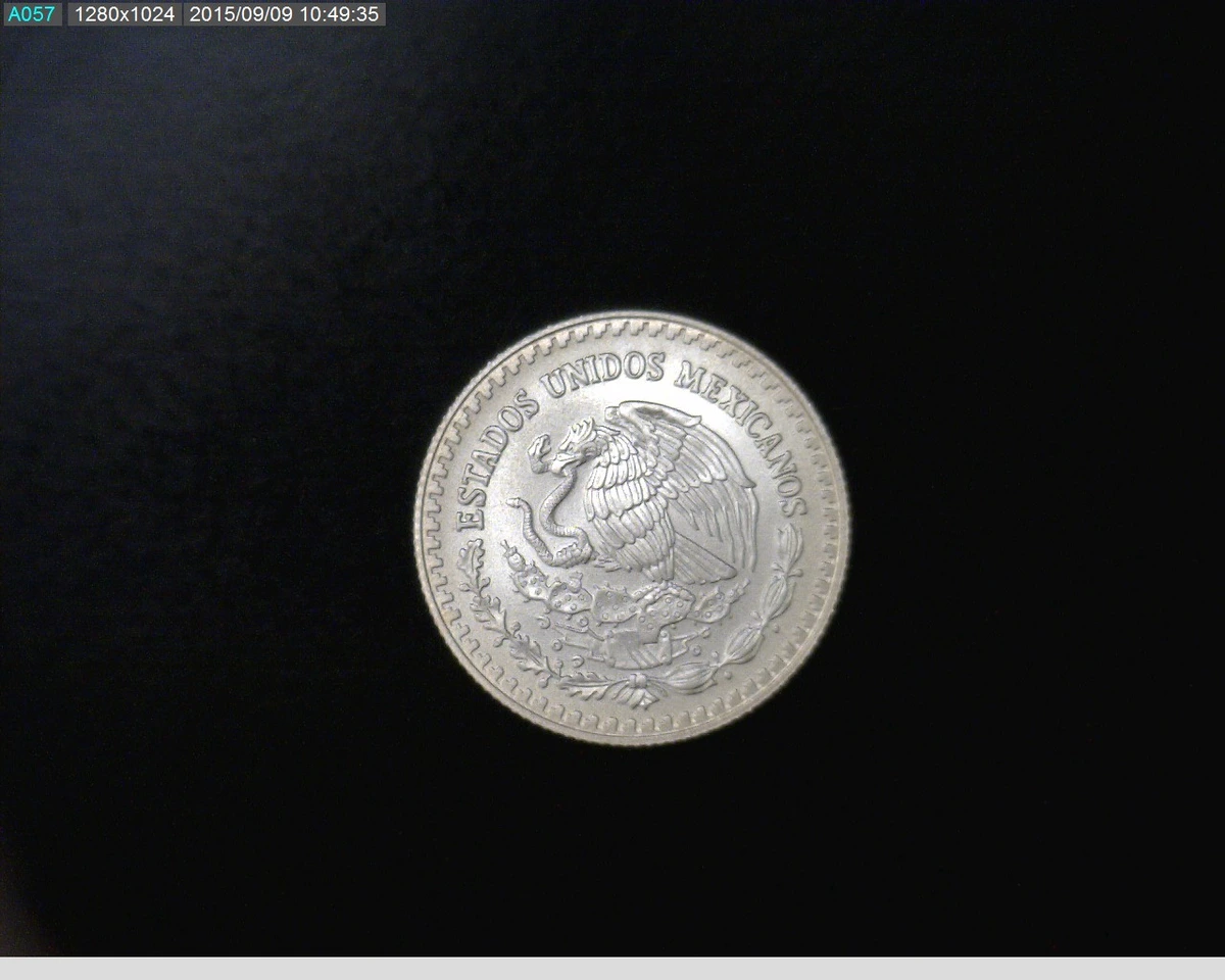 1-4-onza-libertad-plata-2013 - anverso (Banxico)