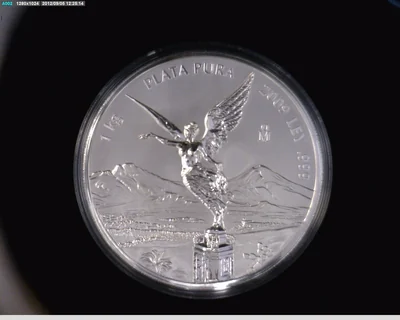 1 Kilogramo(s) 2009