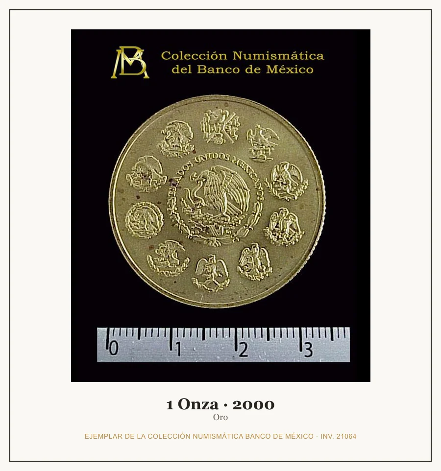 Moneda destacada de la serie 1 Onza Oro
