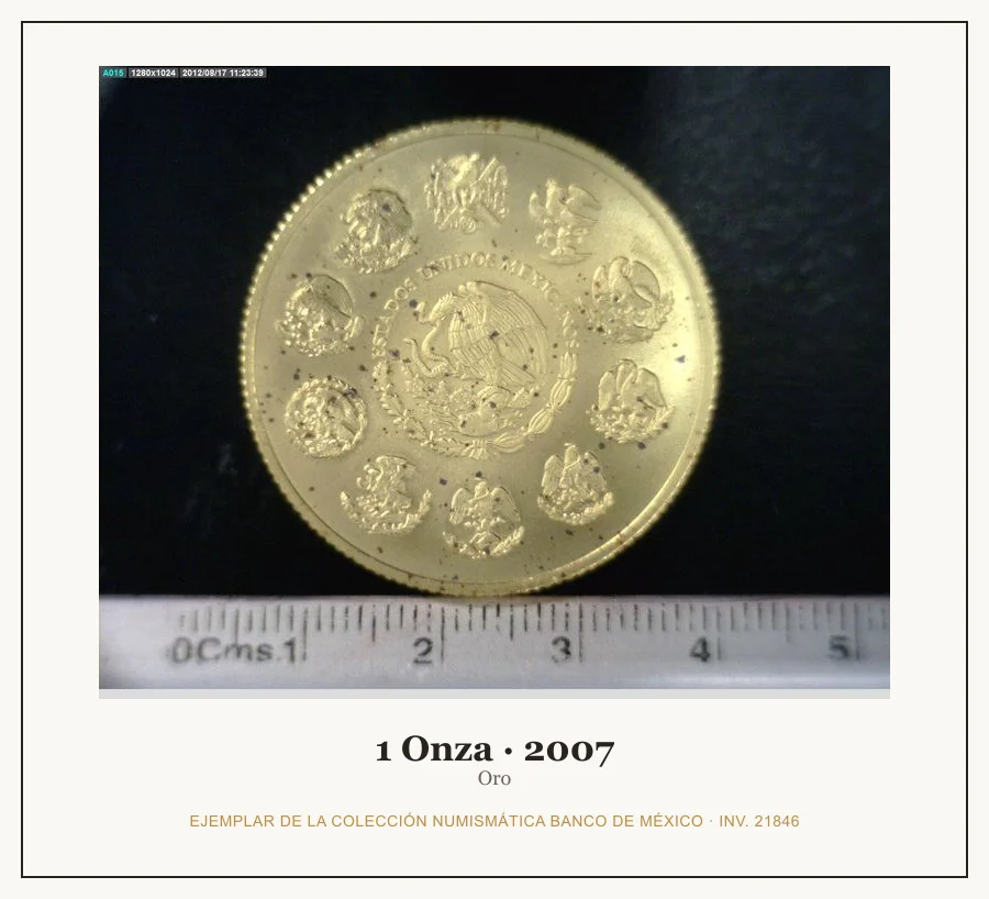 1 Onza · 2007 — Ejemplar de la Colección Numismática Banco de México, inv. 21846
