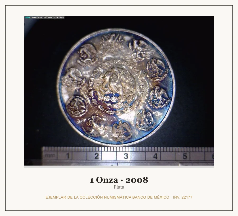 1 Onza · 2008 — Ejemplar de la Colección Numismática Banco de México, inv. 22177