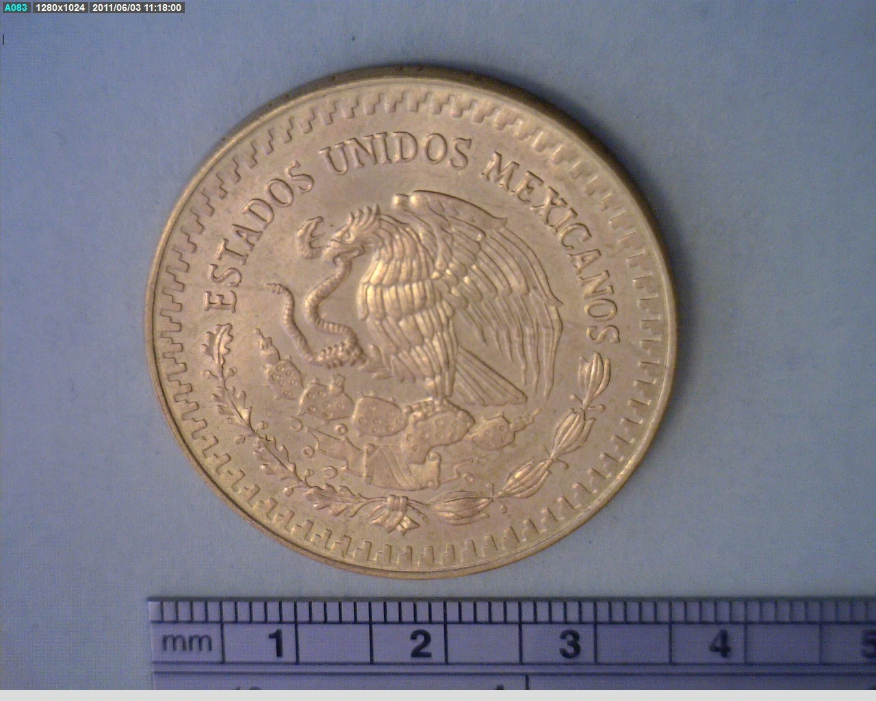 1 oz Libertad Oro 1981 · Inventario Banxico 16067 (anverso)