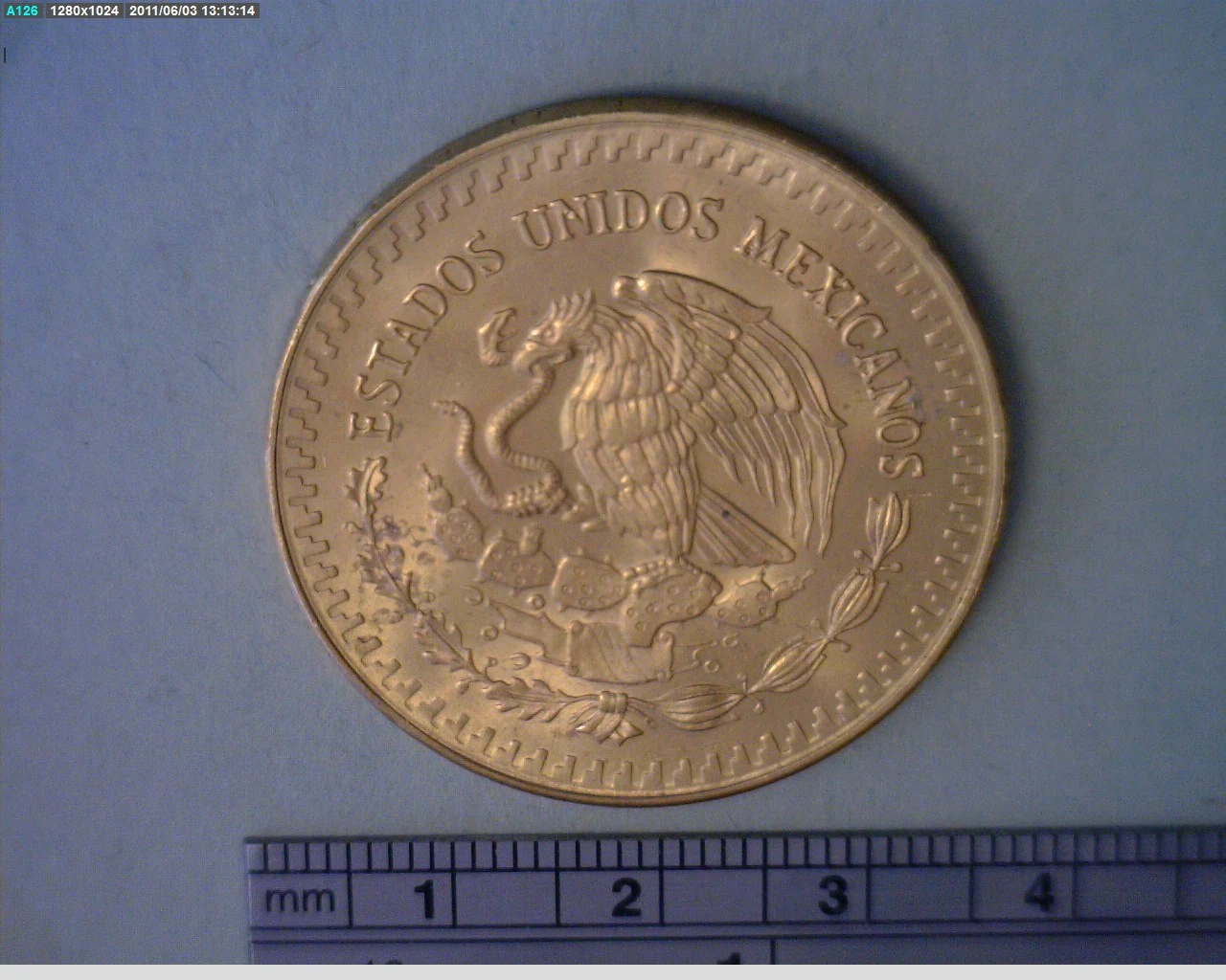 1 oz Libertad Oro 1981 · Inventario Banxico 16079 (anverso)