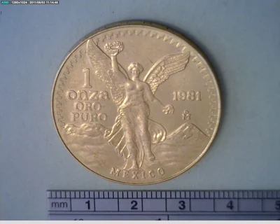 1 oz Libertad Oro 1981 · Inventario Banxico 16066 (reverso)
