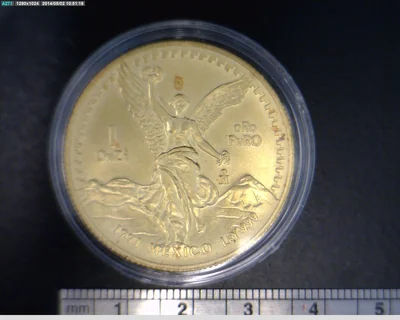 1 Onza Libertad Oro 1991