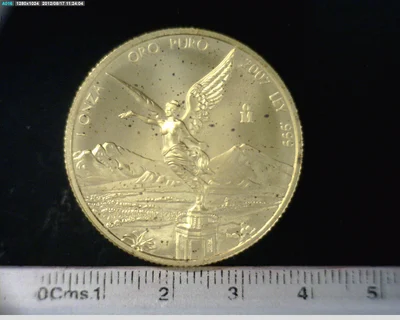 1 onza Libertad Oro 2007