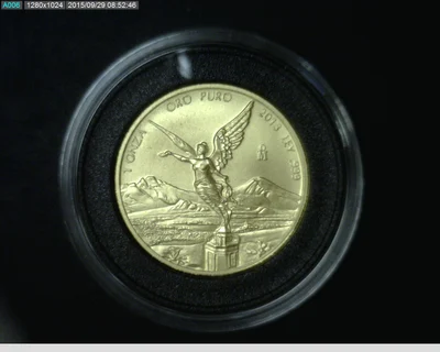 1 Onza Libertad Oro 2013