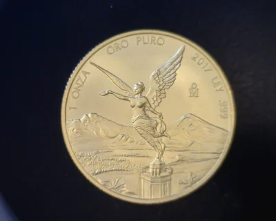 1 Onza Libertad Oro 2017