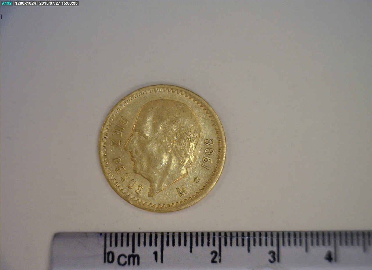 10 Pesos 1908 · Reverso