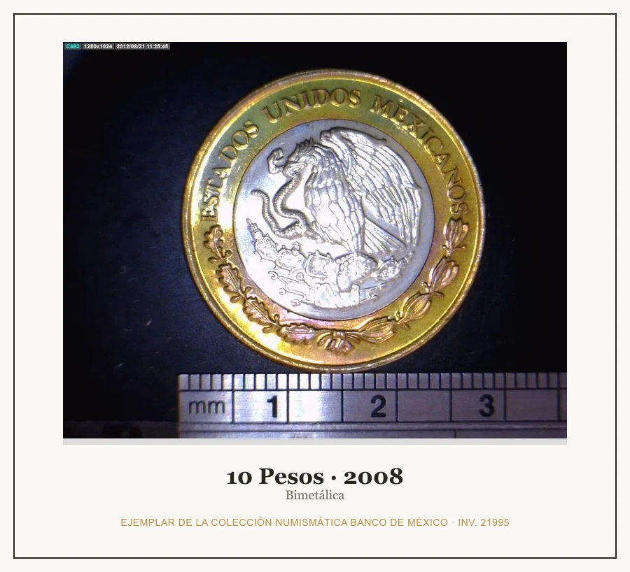 10 Pesos · 2008 — Ejemplar de la Colección Numismática Banco de México, inv. 21995