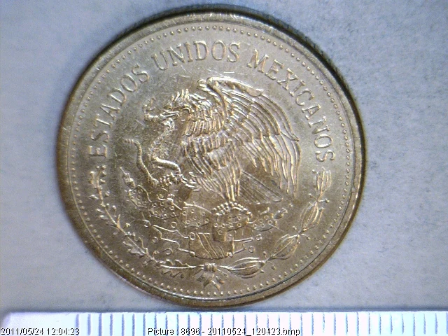 100 Pesos 1984 · Anverso
