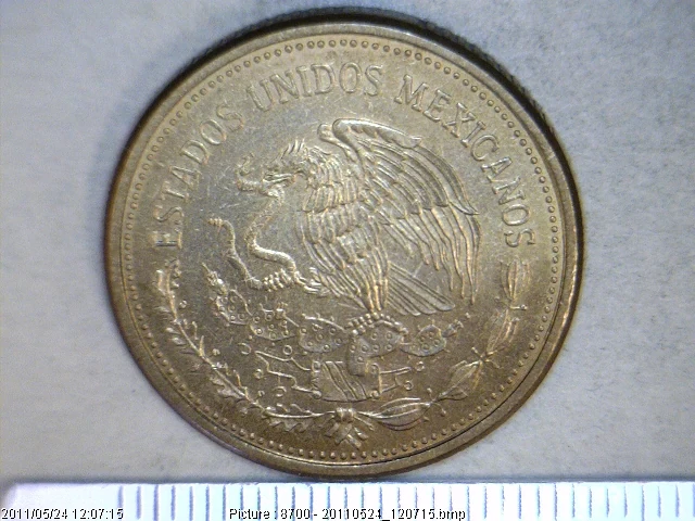 100 Pesos Bronce Aluminio 1984 (anverso)