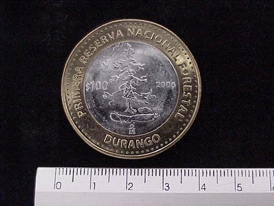 100 Pesos Durango (Cultural) 2005