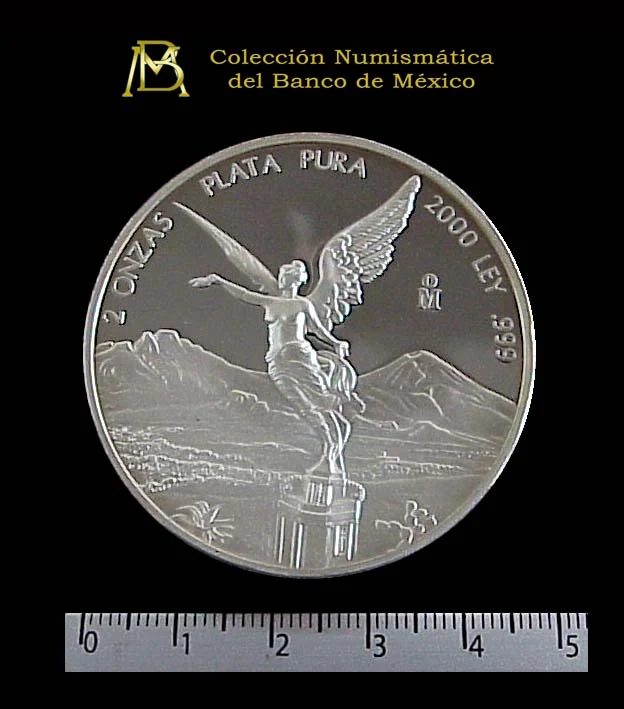 2 oz Libertad Plata 2000 · Inventario Banxico 20875 (reverso)